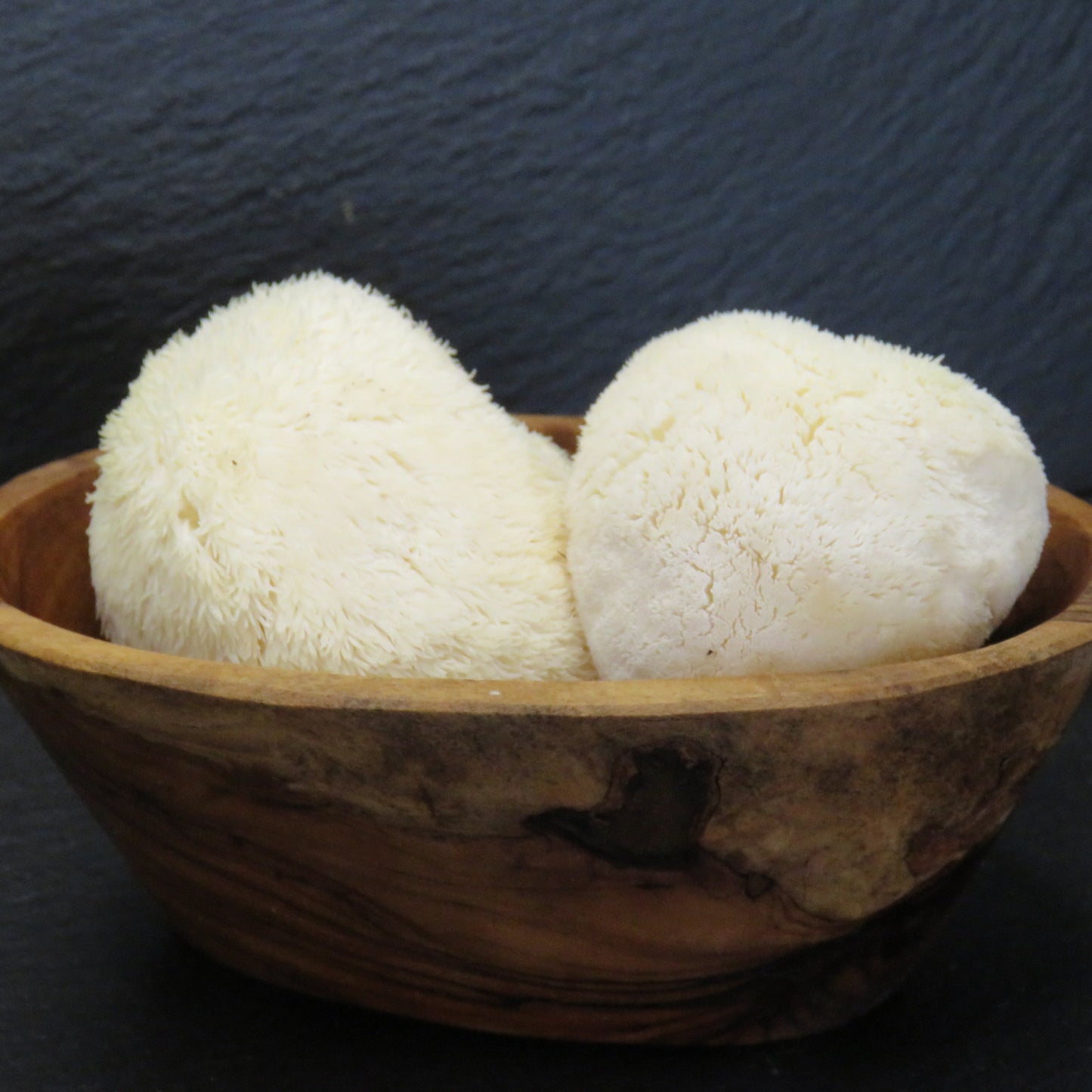 Gourmet Lion's Mane Mushrooms