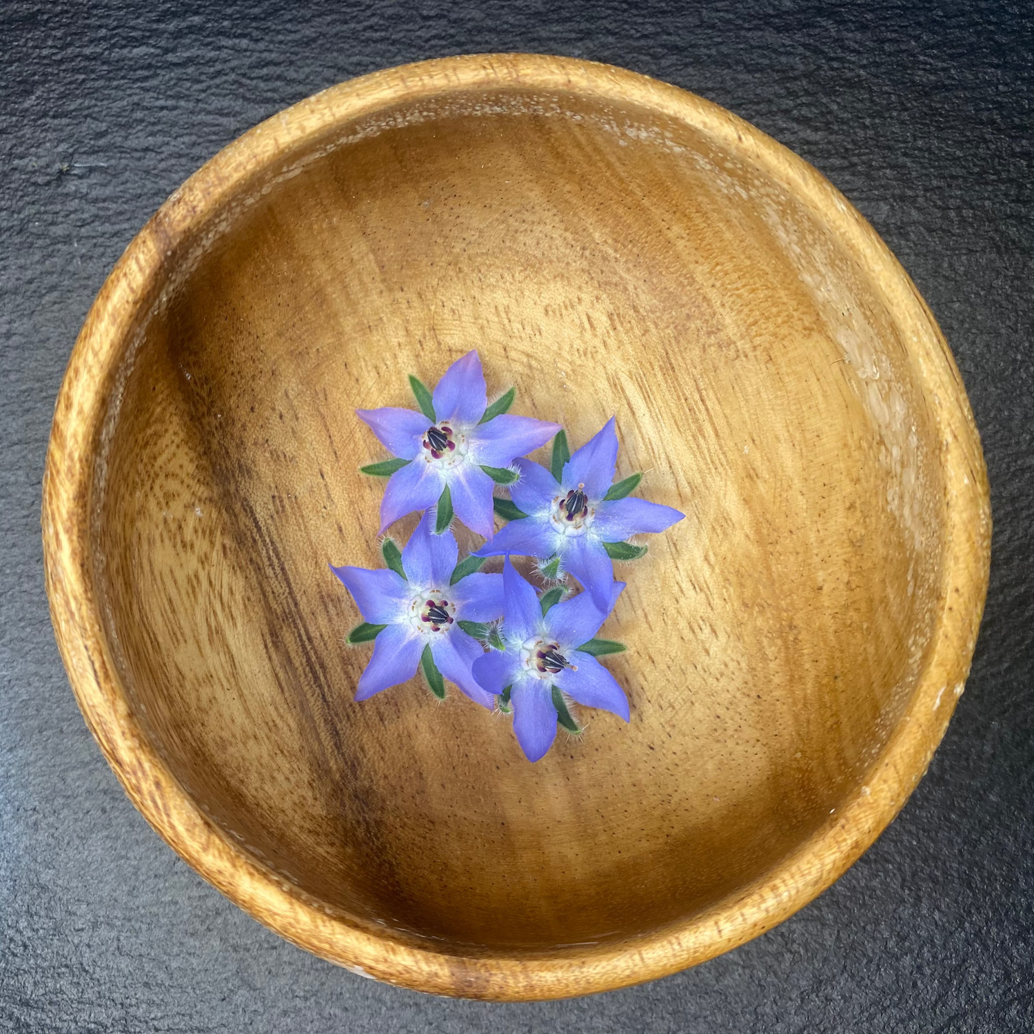 Shop Culinary Edible Florals