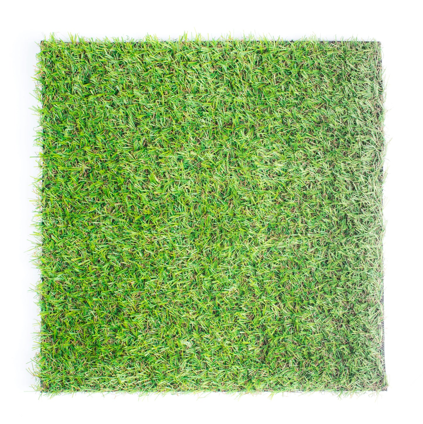 The Urban Turf
