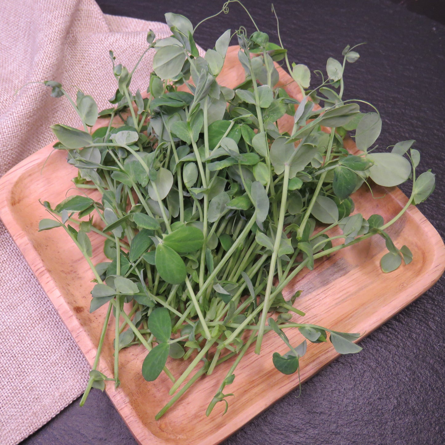 Pea Shoots - Dwarf Grey Sugar