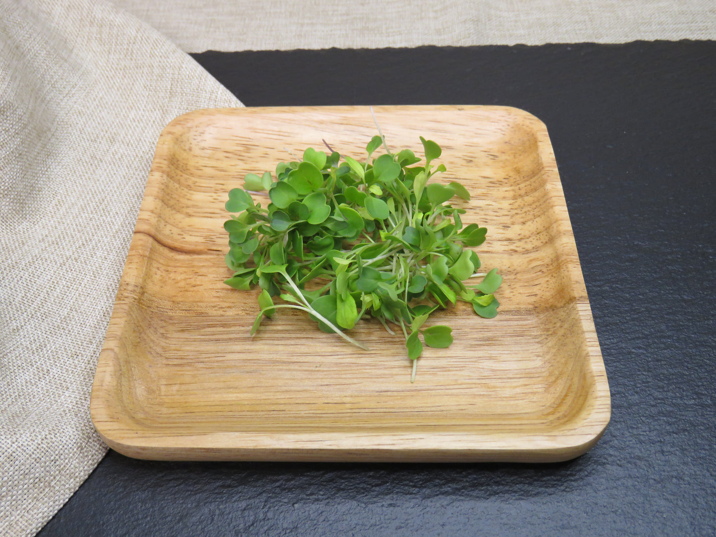 Arugula - Astro