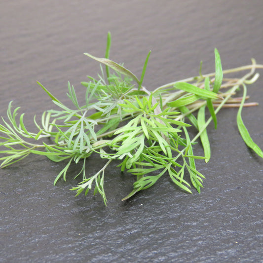 Dill