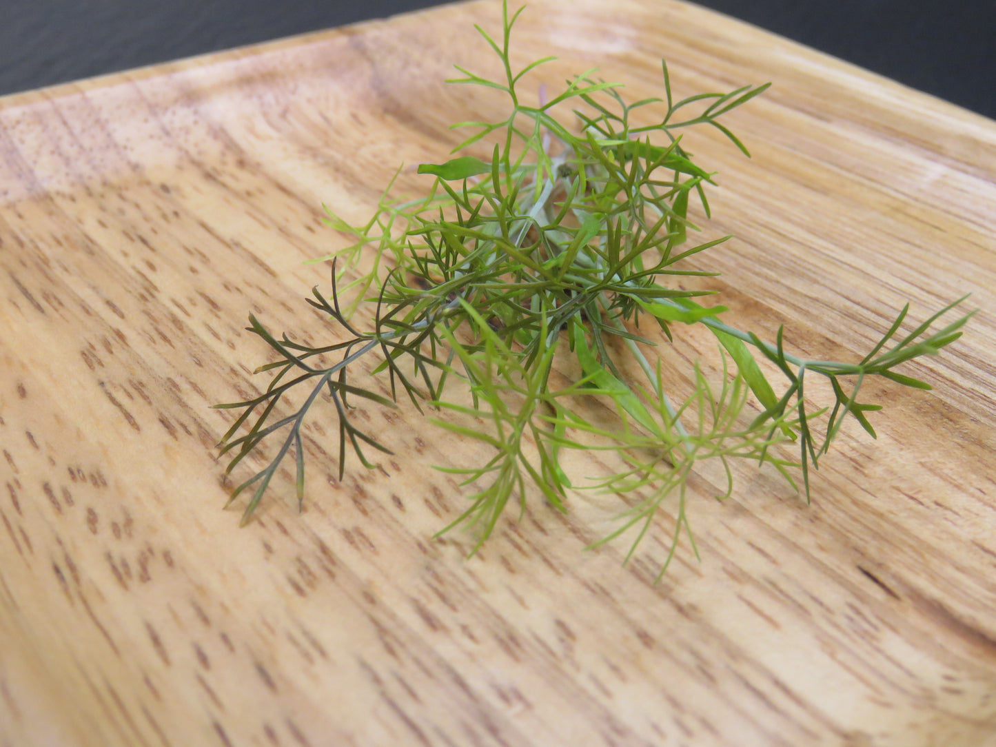Fennel