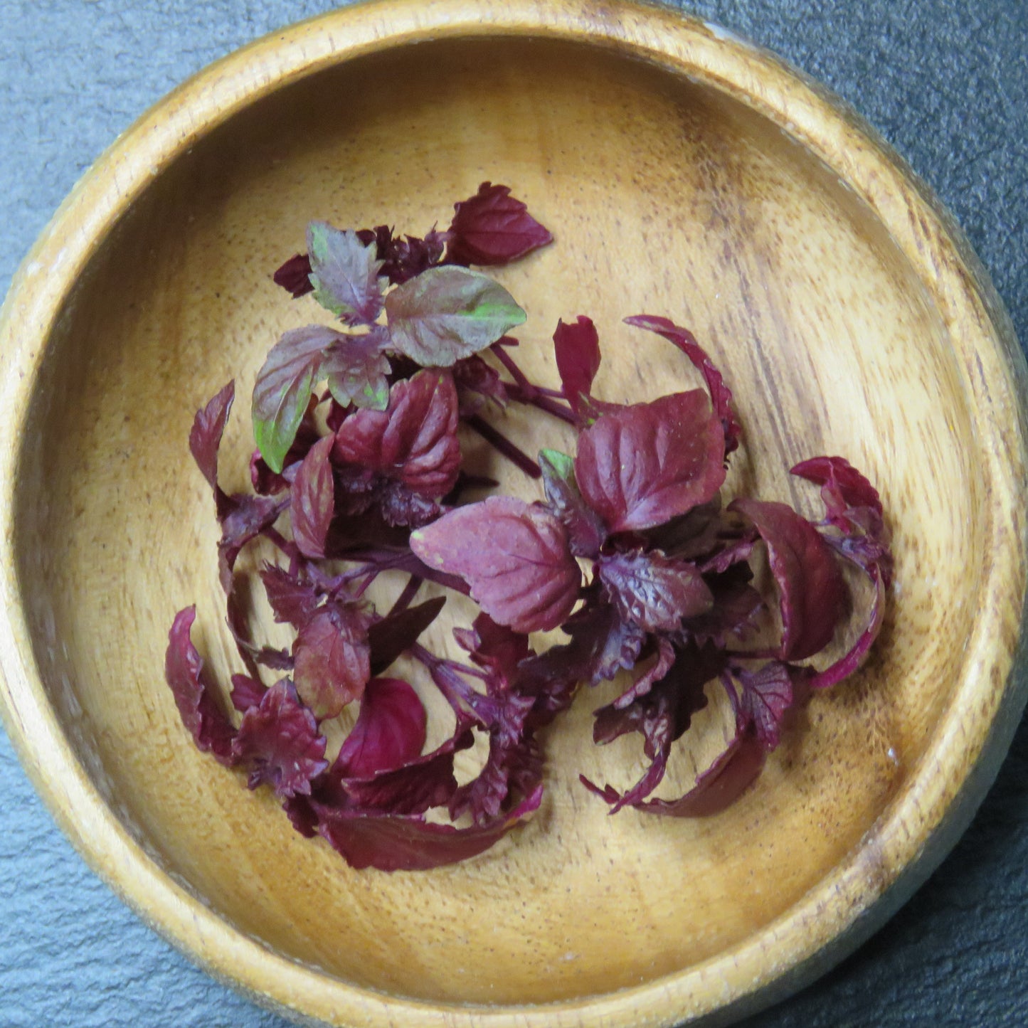 Shiso, Purple Perilla