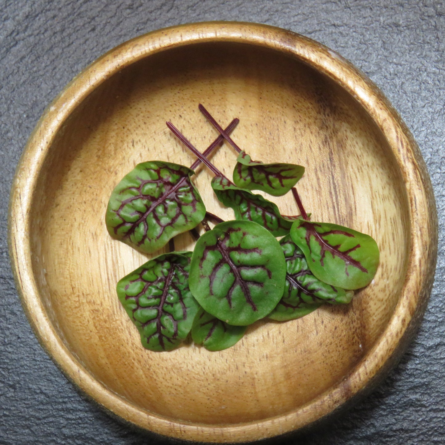Sorrel - Red Veined