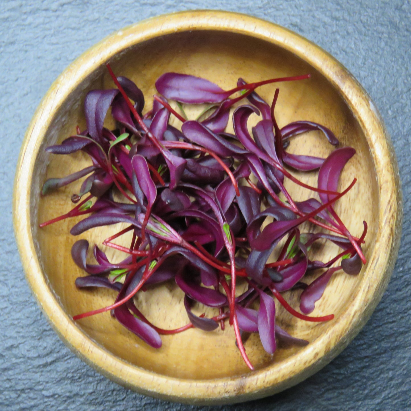 Beet - Bull's Blood