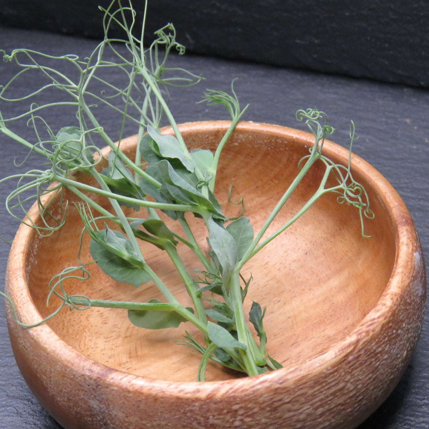 Afila Pea Tendrils