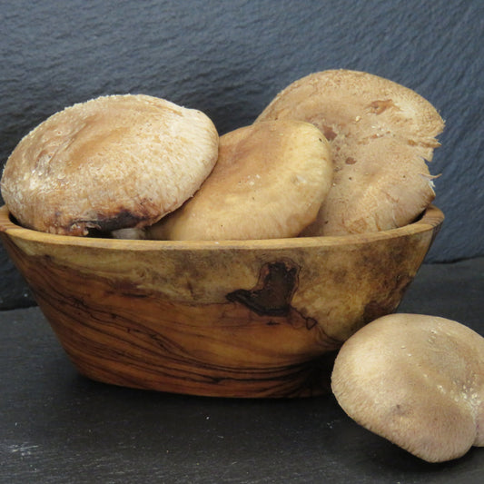 Gourmet Shiitake Mushrooms