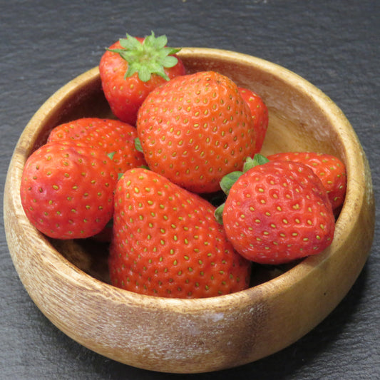 Culinary Heirloom Strawberries