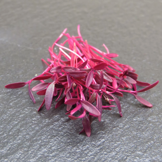 Amaranth - Red Garnet